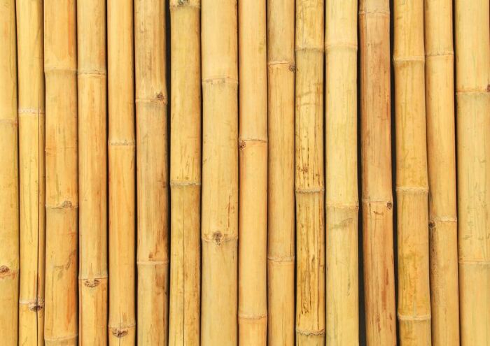 Gdzie sprawdzają się tyczki bambusowe?
